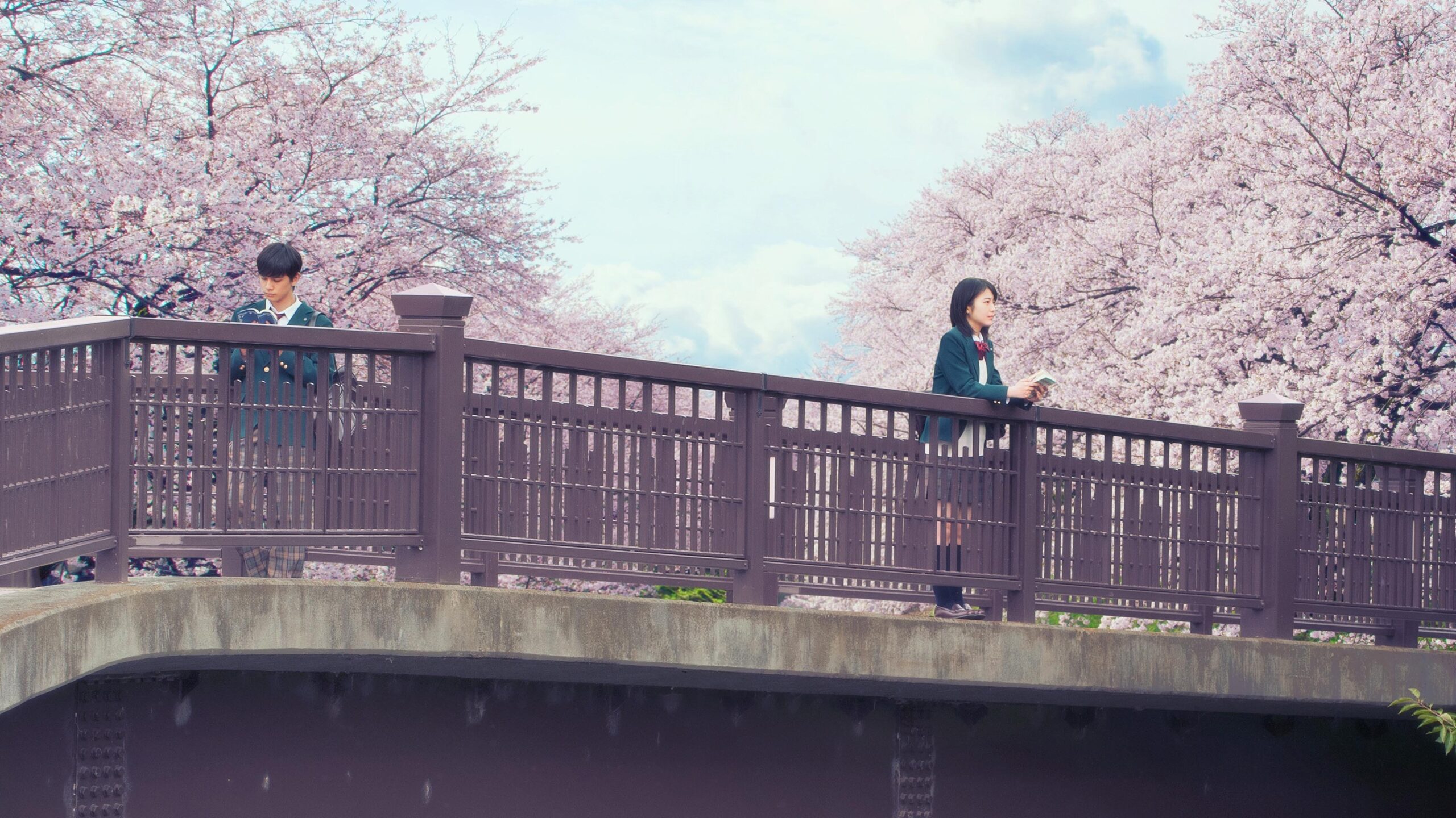 Kimi no Suizo wo Tabetai รีวิวหนัง