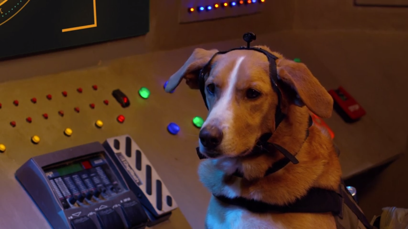 Agent Toby Barks (Spy Dog) รีวิวหนัง